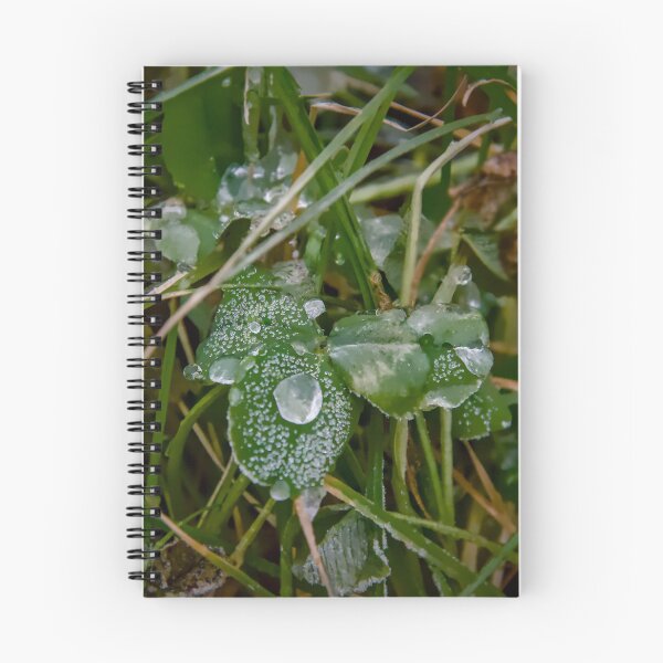 Item preview, Icy Crystals on Winter Clover Macro Photo designed and sold by ShotsbyDesiree.