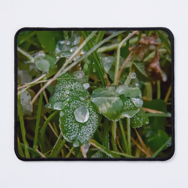Item preview, Icy Crystals on Winter Clover Macro Photo designed and sold by ShotsbyDesiree.
