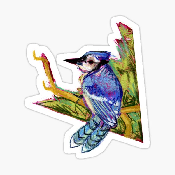 Pretty Blue Jay Sticker