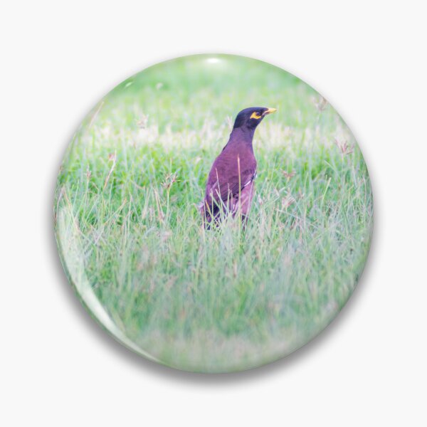Item preview, BIRD IN THE GRASS designed and sold by likbatonboot.