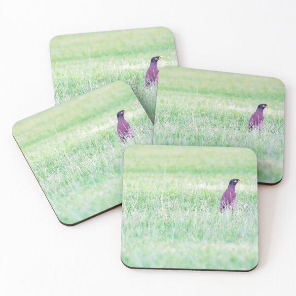 Item preview, BIRD IN THE GRASS designed and sold by likbatonboot.