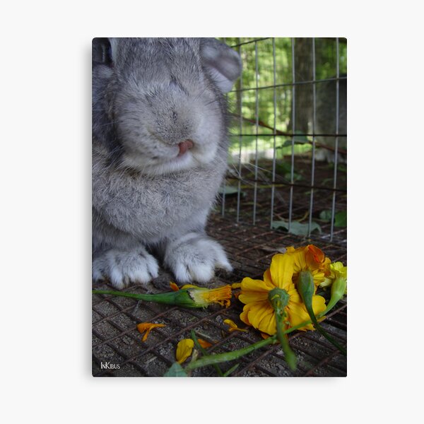 Thanks for the flowers Canvas Print