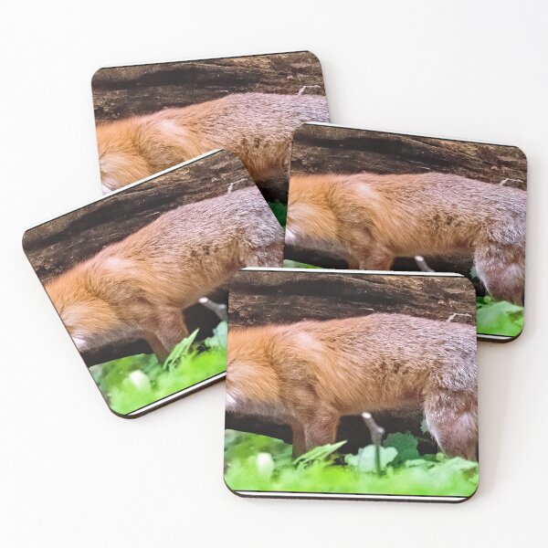 Item preview, Red Foxes, Adult, Kit Takes Shelter Under Fallen Tree designed and sold by AMacGPhilly.