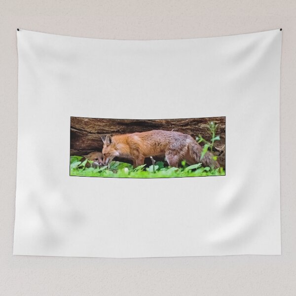 Item preview, Red Foxes, Adult, Kit Takes Shelter Under Fallen Tree designed and sold by AMacGPhilly.