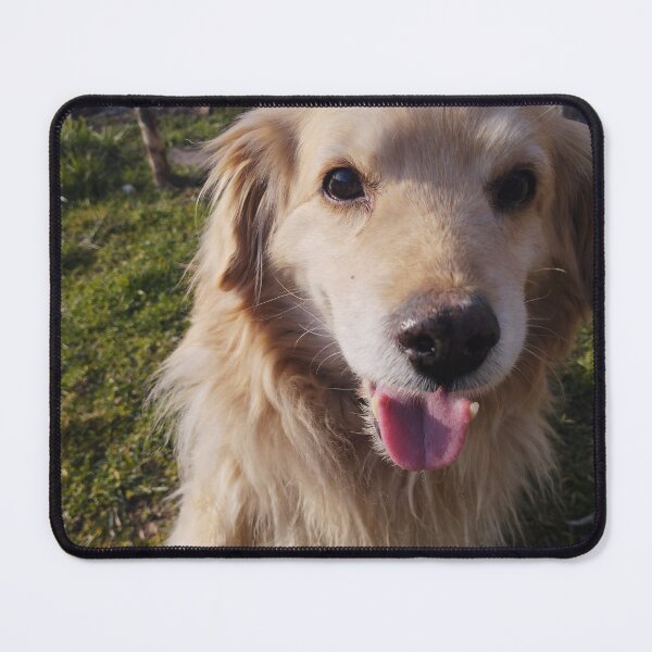 Item preview, Cute Ginger Dog Posing in a Sunny Garden designed and sold by inspiration3.