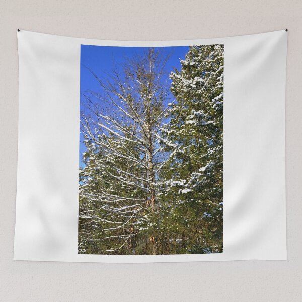 Item preview, Snow-Covered Evergreens Vertical designed and sold by LisaWootenPhoto.