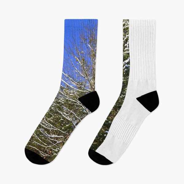 Item preview, Snow-Covered Evergreens Vertical designed and sold by LisaWootenPhoto.