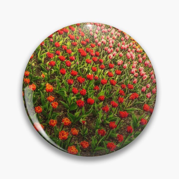 Item preview, Multiple Choice designed and sold by Steve Walser.