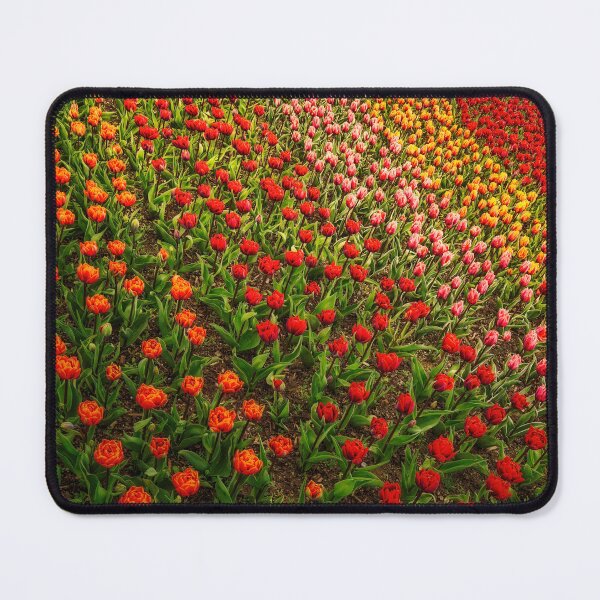 Item preview, Multiple Choice designed and sold by Steve Walser.