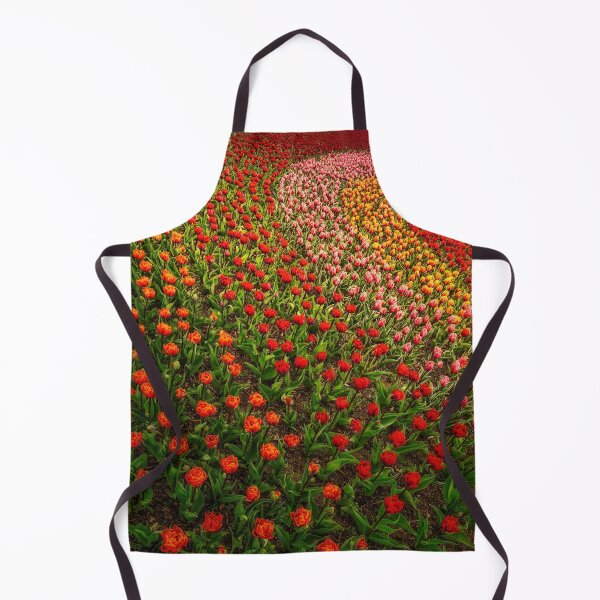 Item preview, Multiple Choice designed and sold by Steve Walser.