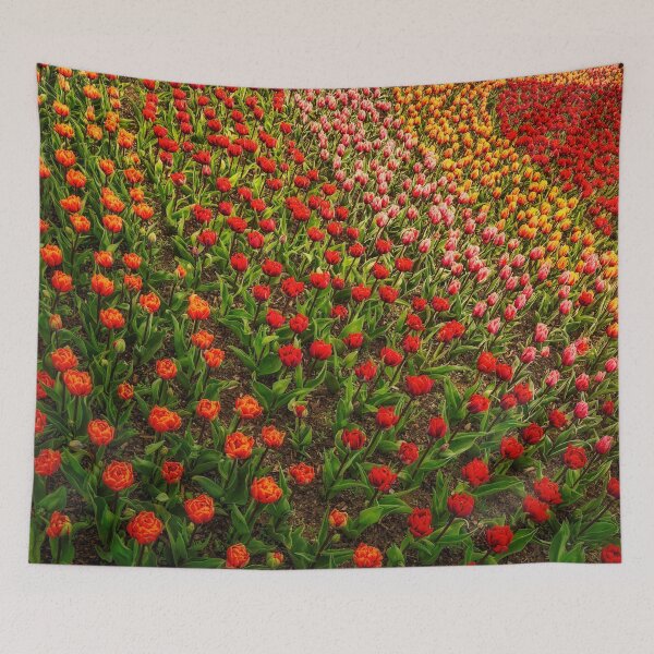 Item preview, Multiple Choice designed and sold by Steve Walser.
