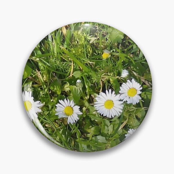 Item preview, Daisy Garden | Original Nature Photography | White Daisies in Sunlight designed and sold by CamirCreations.