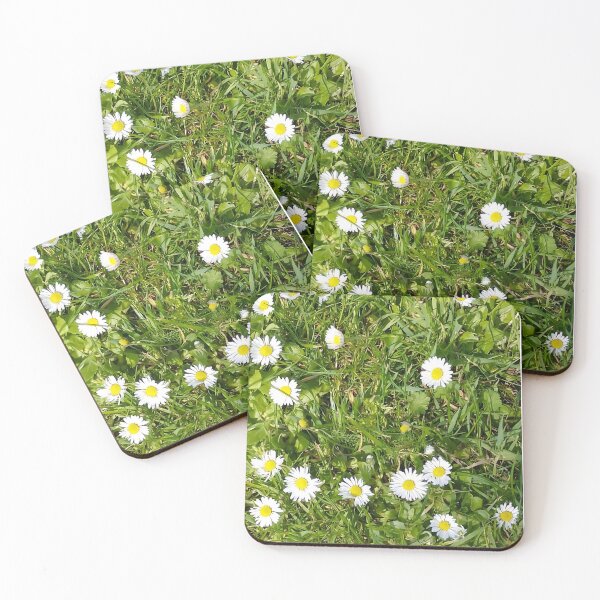 Item preview, Daisy Garden | Original Nature Photography | White Daisies in Sunlight designed and sold by CamirCreations.
