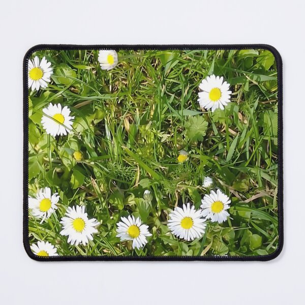 Item preview, Daisy Garden | Original Nature Photography | White Daisies in Sunlight designed and sold by CamirCreations.