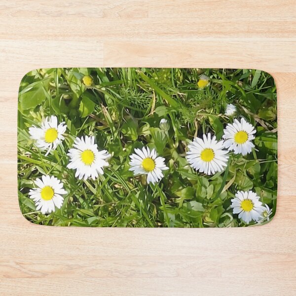 Item preview, Daisy Garden | Original Nature Photography | White Daisies in Sunlight designed and sold by CamirCreations.