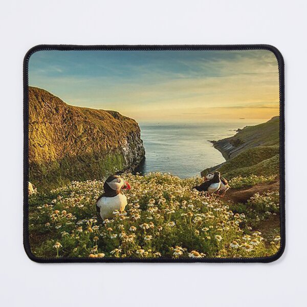 Item preview, Puffins on Skomer Island, Pembrokeshire designed and sold by Martin Stokes Photography.