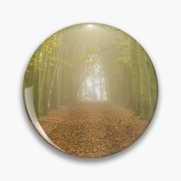 Item preview, Beech Avenue, Grovely Wood, Wiltshire designed and sold by Martin Stokes Photography.