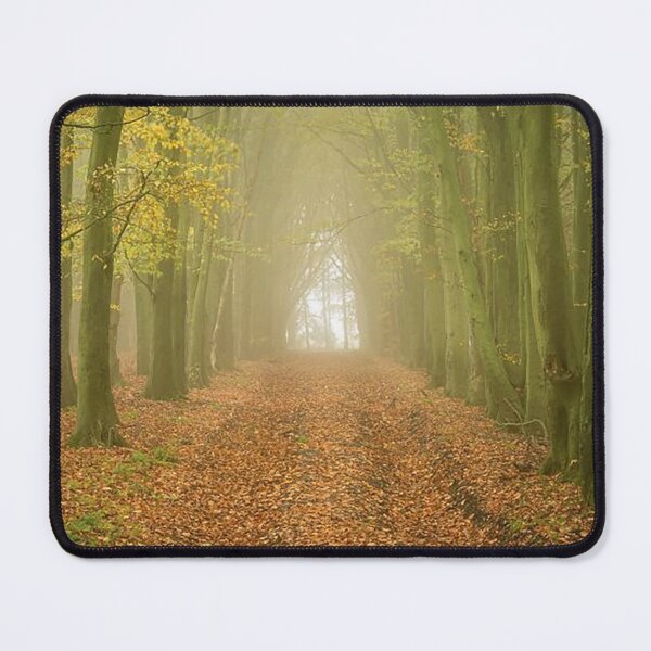 Item preview, Beech Avenue, Grovely Wood, Wiltshire designed and sold by Martin Stokes Photography.