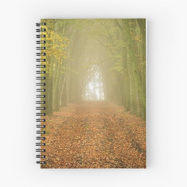 Item preview, Beech Avenue, Grovely Wood, Wiltshire designed and sold by Martin Stokes Photography.