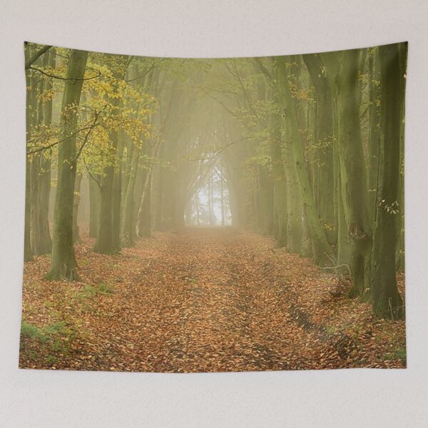 Item preview, Beech Avenue, Grovely Wood, Wiltshire designed and sold by Martin Stokes Photography.