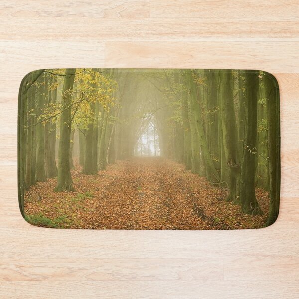 Item preview, Beech Avenue, Grovely Wood, Wiltshire designed and sold by Martin Stokes Photography.