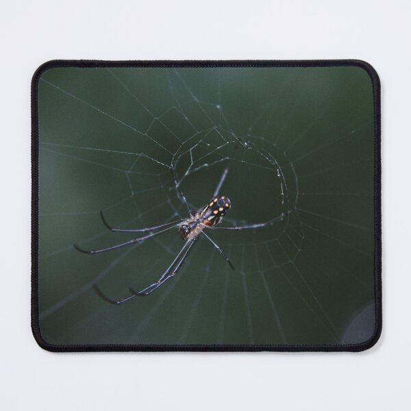 Item preview, Orchard Spider Macro Photo designed and sold by xlealo.