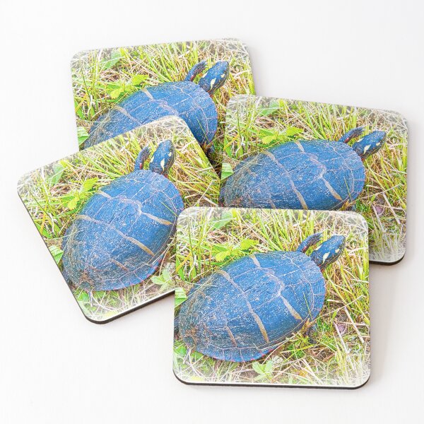 Item preview, Painted Turtle Exploring the Surroundings designed and sold by AMacGPhilly.