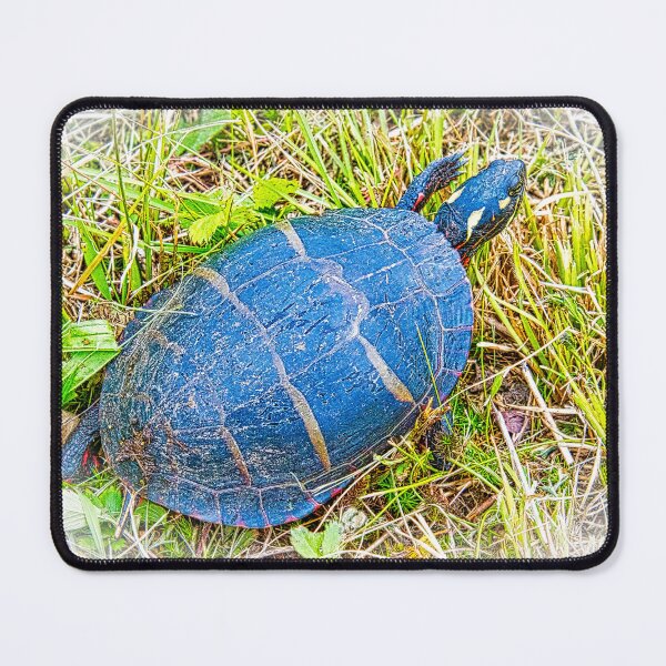 Item preview, Painted Turtle Exploring the Surroundings designed and sold by AMacGPhilly.