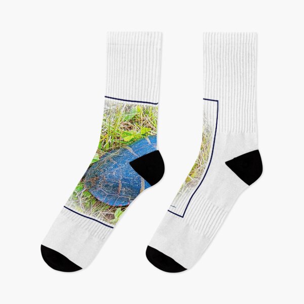 Item preview, Painted Turtle Exploring the Surroundings designed and sold by AMacGPhilly.