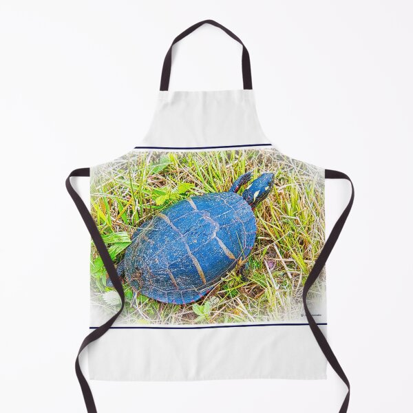Item preview, Painted Turtle Exploring the Surroundings designed and sold by AMacGPhilly.