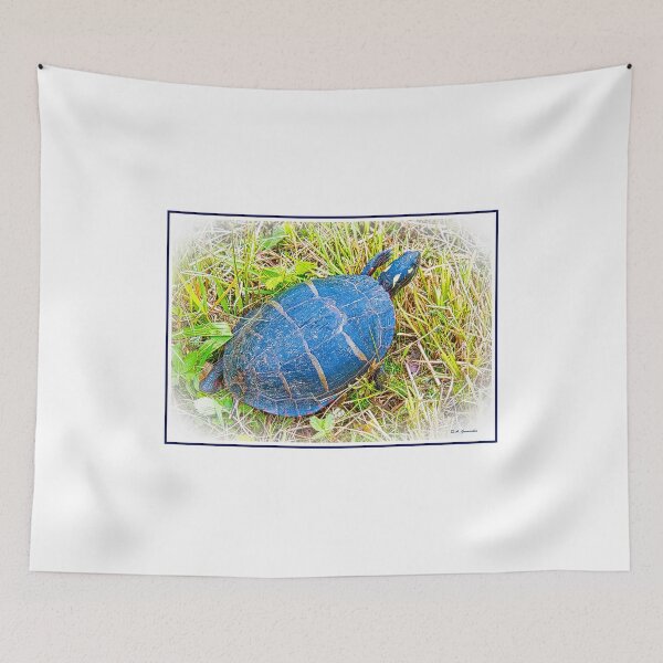 Item preview, Painted Turtle Exploring the Surroundings designed and sold by AMacGPhilly.