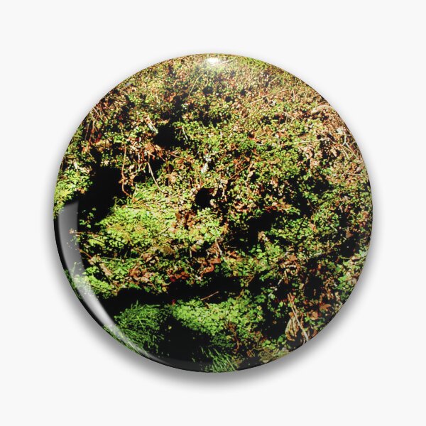 Item preview, Small Woodland Feeder Stream, Early Spring designed and sold by AMacGPhilly.