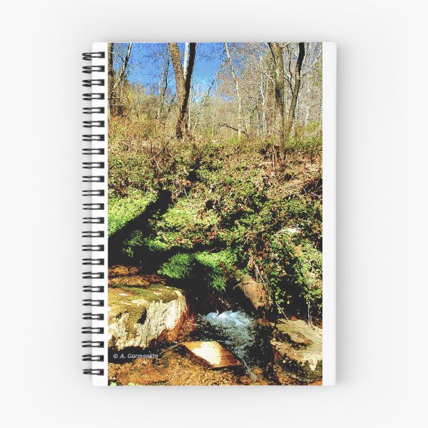 Item preview, Small Woodland Feeder Stream, Early Spring designed and sold by AMacGPhilly.