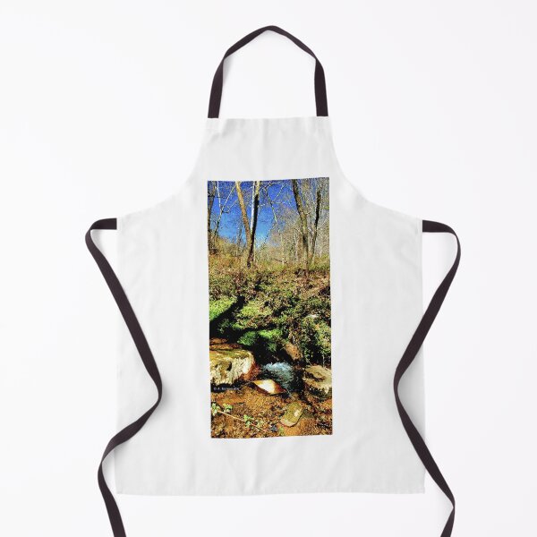 Item preview, Small Woodland Feeder Stream, Early Spring designed and sold by AMacGPhilly.