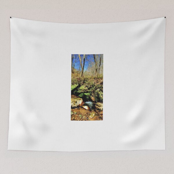 Item preview, Small Woodland Feeder Stream, Early Spring designed and sold by AMacGPhilly.