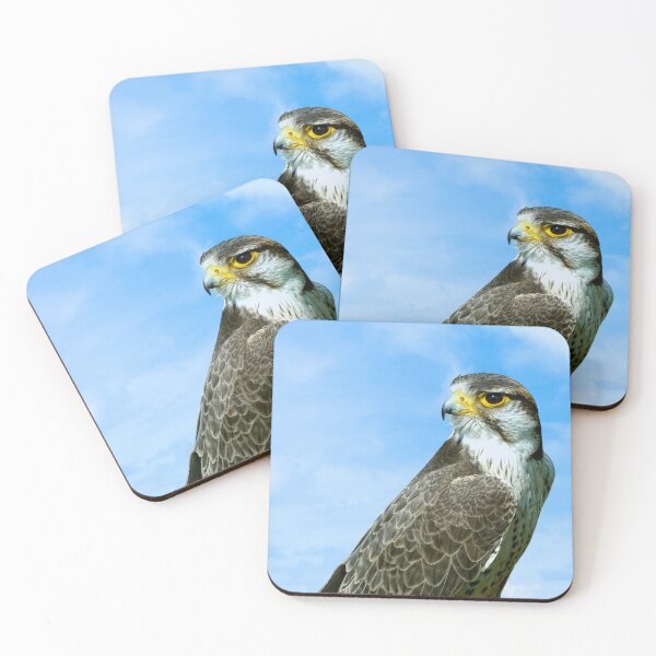 Item preview, Lanner Falcon Latin name Falco biarmicus Latin name Falco biarmicus designed and sold by Peter Etchells.