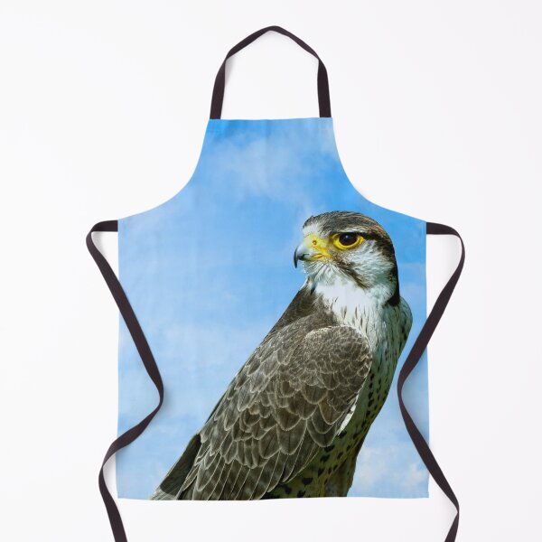 Item preview, Lanner Falcon Latin name Falco biarmicus Latin name Falco biarmicus designed and sold by Peter Etchells.