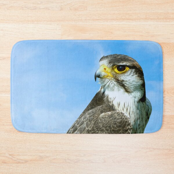 Item preview, Lanner Falcon Latin name Falco biarmicus Latin name Falco biarmicus designed and sold by Peter Etchells.