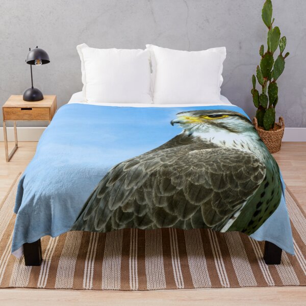 Item preview, Lanner Falcon Latin name Falco biarmicus Latin name Falco biarmicus designed and sold by Peter Etchells.