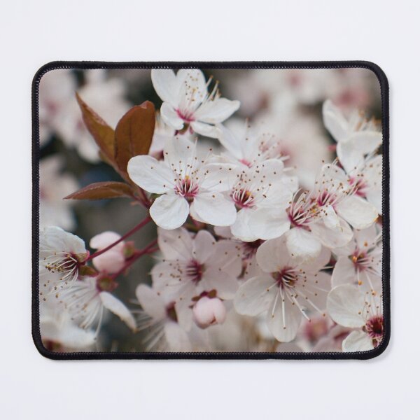Item preview, Pink Blossoms Under the Spring Sky designed and sold by AKI | Art Kode of Imagination.