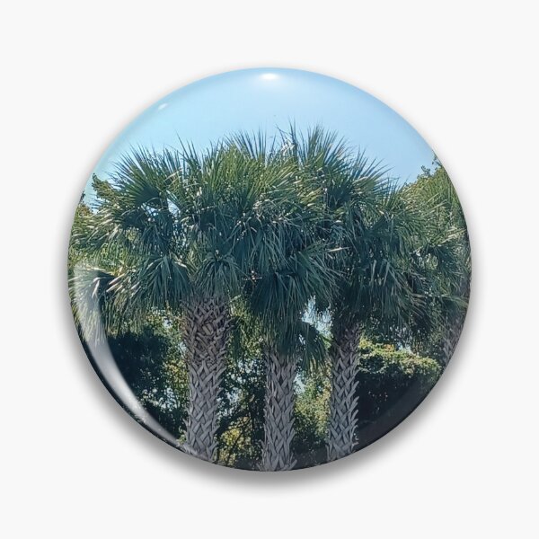 Item preview, Stand of Palmettos Photo designed and sold by chucktownjax.