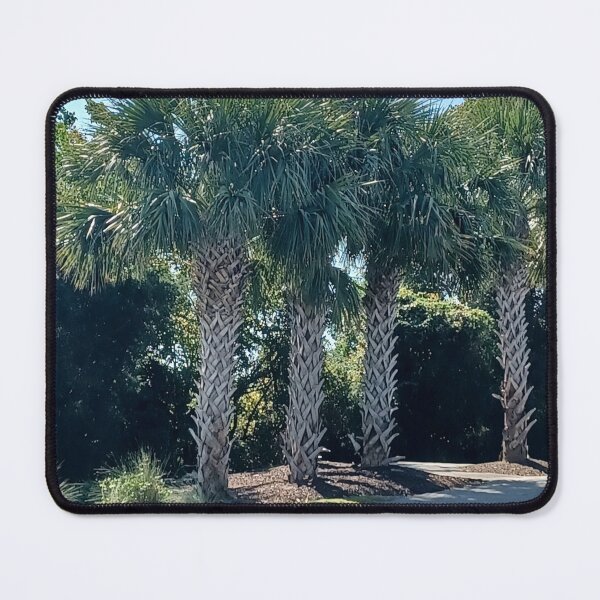 Item preview, Stand of Palmettos Photo designed and sold by chucktownjax.