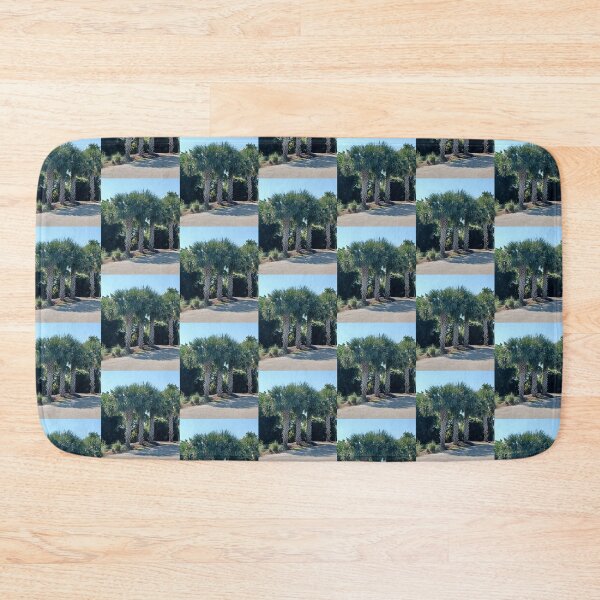 Item preview, Stand of Palmettos Photo designed and sold by chucktownjax.