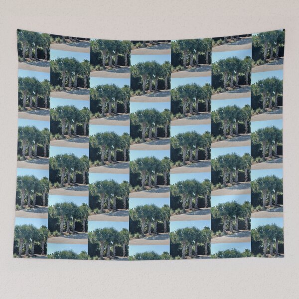 Item preview, Stand of Palmettos Photo designed and sold by chucktownjax.