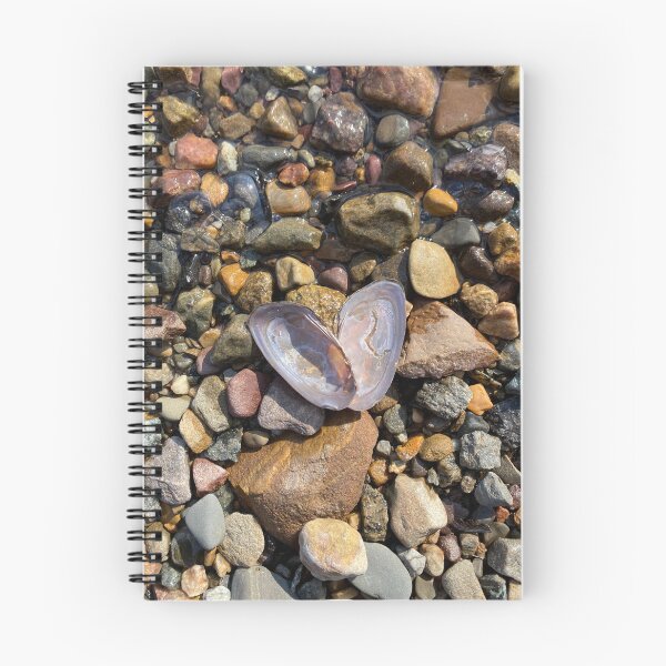 Item preview, Mussel Heart Photographic Print designed and sold by It's Me, Hay! .