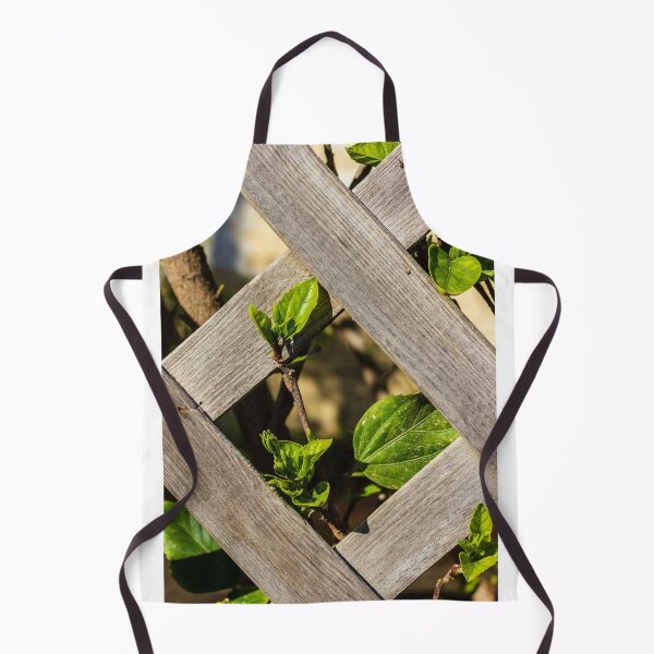Item preview, Sunlit Wooden Lattice Fence With Ivy Growing Through Crisscross Panels designed and sold by Nmallia.