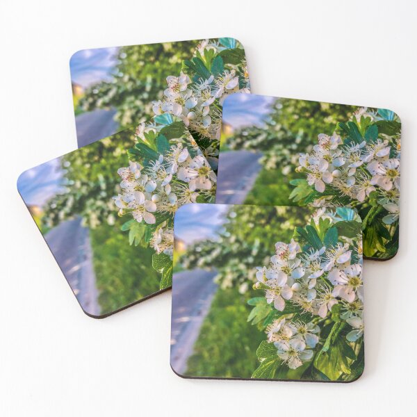 Item preview, Tiny white flowers in spring designed and sold by GlennP97.
