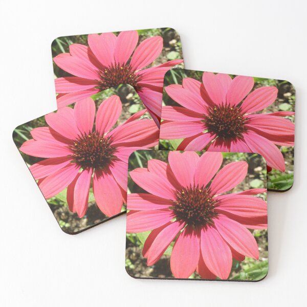 Item preview, Red Echinacea Coneflower Cottagecore Photograph designed and sold by naturegallery.