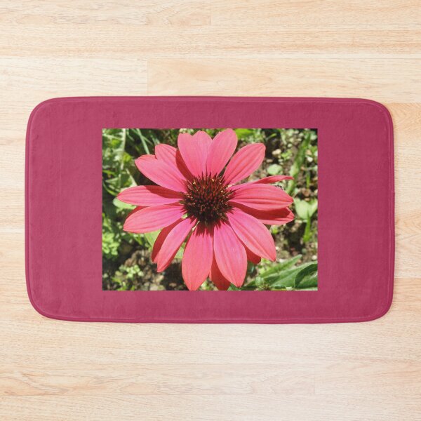 Item preview, Red Echinacea Coneflower Cottagecore Photograph designed and sold by naturegallery.