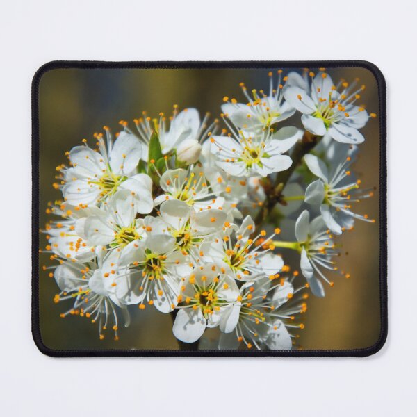 Item preview, Blackthorn designed and sold by JEZ22.
